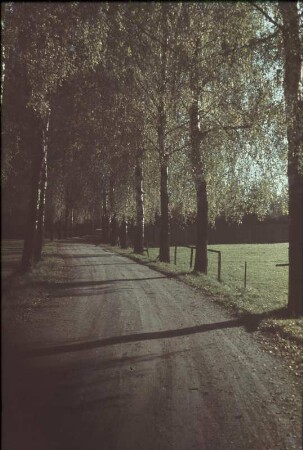 Bad Wörishofen. Birkenweg (zum Jagdhof)