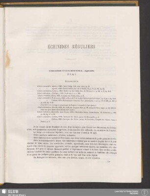 Échinides Réguliers