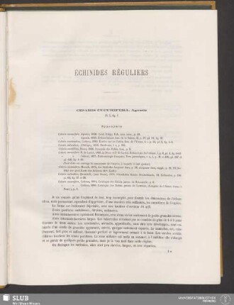 Échinides Réguliers