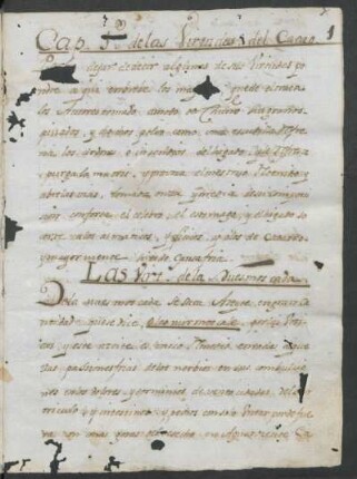 [La botánica médica de Misiones 1795]