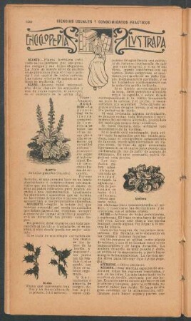 Enciclopedia ilustrada : Ciencias usuales y conocimientos practicos