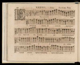 Novem vocvm.