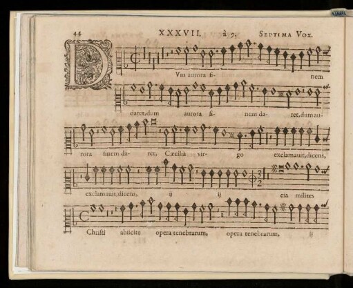 Novem vocvm.