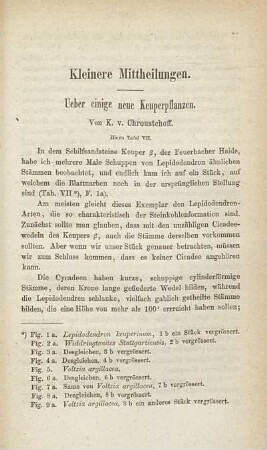 III. Kleinere Mittheilungen