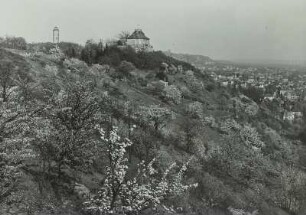 Niederlößnitz, Neufriedstein : Radebeul-Niederlößnitz. Weinberg Neufriedstein