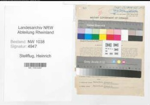 Entnazifizierung Heinrich Stellflug , geb. 10.05.1908 (Beamter)