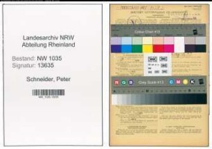Entnazifizierung Peter Schneider , geb. 03.08.1900 (Steiger)