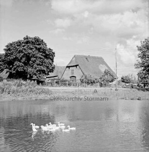 Dorfteich mit Enten: im Hintergrund Bauernhäuser und Bäume