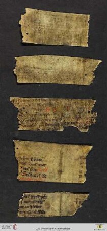Fragment VII: Brevier; Scholastischer Text (5 Stücke)
