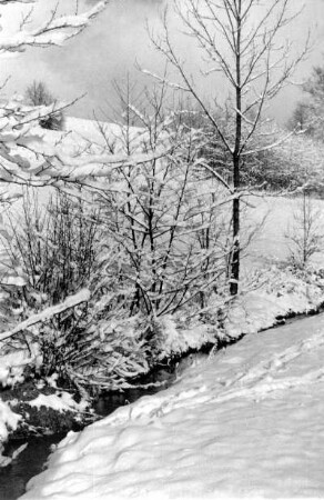 Röhrsdorf, winterlicher Mühlengrund mit der Rietzschke
