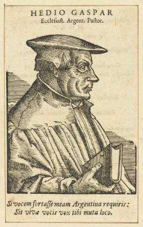 Bildnis des Gaspar Hedior