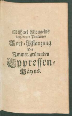 Fort-Pflanzung Des Immer-grünenden Cypressen-Häyns
