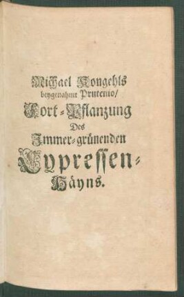 Fort-Pflanzung Des Immer-grünenden Cypressen-Häyns