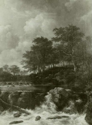 Der Wasserfall vor dem bewaldeten Abhang