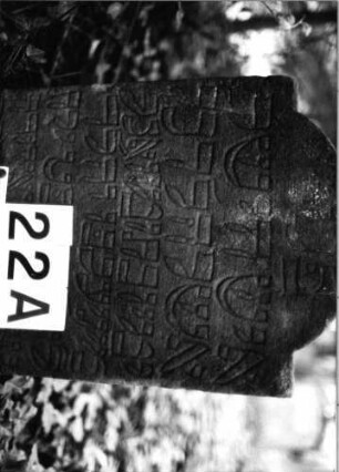 Grabstein 22 (Index: 99804093) Material: Sandstein Zustand: eingesunken(befestigt)Datenverlust Maße HxBxT: 0x0x0 cm Beschreibung: Stele mit eingezogenem Flachbogen: Grabstein 22A