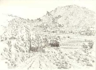 Provence 1995