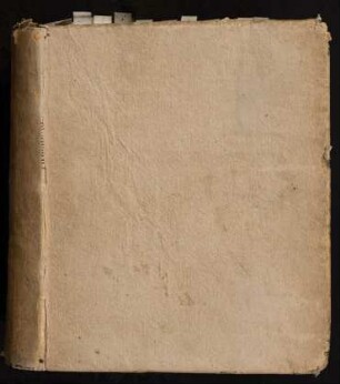 Praxis Antiquo-Moderna Actionum Forensium, In Specis Petitoriarum & Possessoriarum In Differentiis Principalioribus