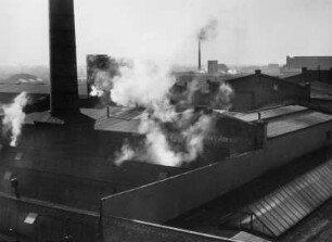Vereinigte Jute Spinnereien und Webereien, Hamburger Industrie