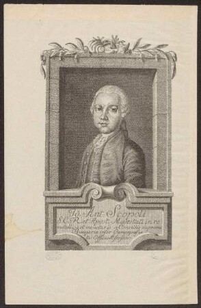 Scopoli, Giovanni Antonio