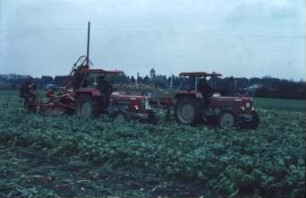 Fotografie: Erntetechnik, Futterrüben, Rodelader, Parallelverfahren