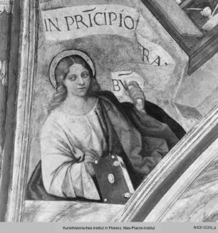 Freskenzyklus : Gewölbefresken : Der Heilige Johannes Evangelist