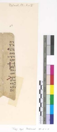 [Theotokia] : Fragm. copt. Pischoi Psalmod. 19