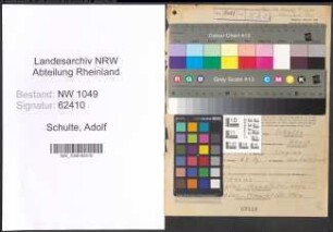 Entnazifizierung Adolf Schulte , geb. 03.01.1901 (Kaufmann)