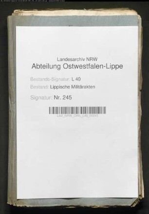 Durchreise der Erzherzogin von Österreich und Königin von Portugal Maria Anna von Hameln nach Neuhaus