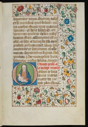 Initiale O, historisiert (Strahlenkranzmadonna), mit Fadenrankenbordüre