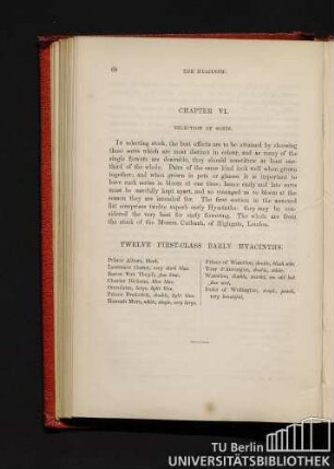 Chapter VI. Selection of sorts. Twelve first-class early Hyacinths. General collection of first-class varieties.