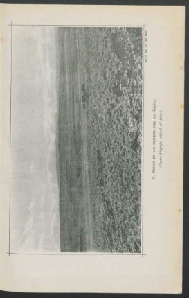 V. Rejion de los orijenes del rio Cisnes (segun fotografia orijinal del autor).