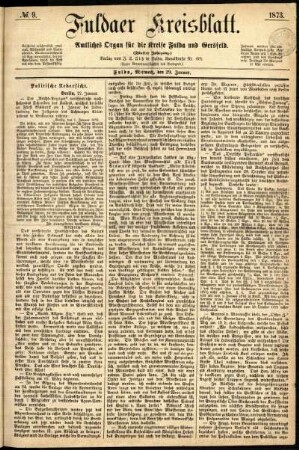 Ausgabe vom Mittwoch, den 29. Januar 1873.