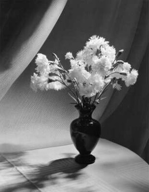 Blumen in Vasen. Strauß weißer Nelken in schwarzer Vase