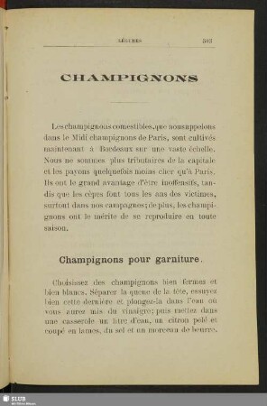 Champignons