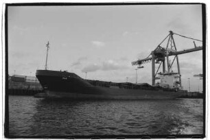 Ole (1977), Jens Wilhelm Jensen Hamburg
