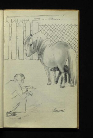 Sarotti