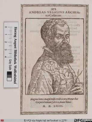 Bildnis Andreas Vesalius