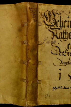 Protokolle des Geheimen Rates