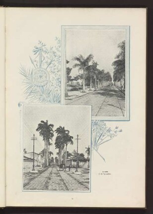Avenida 16 de Novembro
