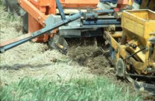 Fotografie: Säverfahren, Einzelkornsaat, Mais, Mulchsaat