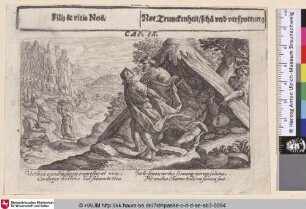 Filij & vitis Noe; Noe Trunckenheit/scha[m] und verspottung [Noahs Trunkenheit; The drunkenness of Noah; Noe ivre]