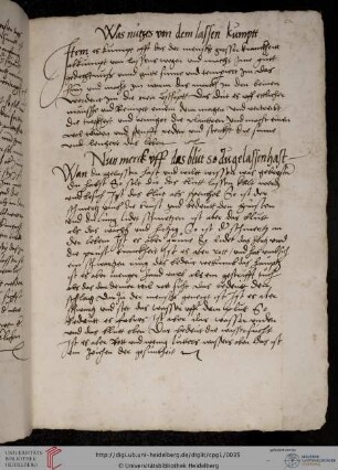 Aderlaßregeln nach Papst Johannes XXI. (Petrus Hispanus)