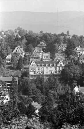 Baden-Baden: Bergschloss (aufgenommen mit Teleobjektiv)