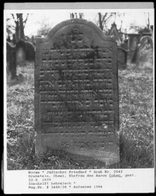 Grabstein der Chewi, Ehefrau des Aaron Cohen (gestorben 1839.08.22)