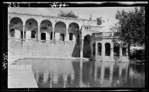 Der heilige Teich in Urfa (= ªanlıurfa, Prov. ªanlıurfa, Türkei)