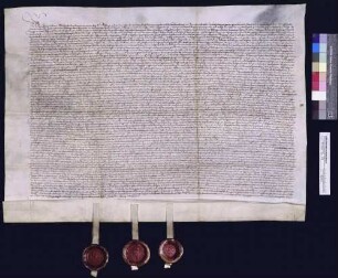Die Grafen Ludwig I. und Ulrich V. teilen endgültig.