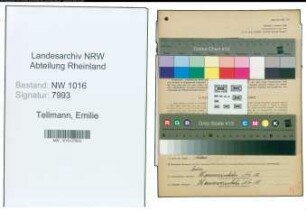 Entnazifizierung Emilie Tellmann , geb. 11.09.1891 (Kauffrau)