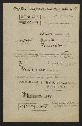 57r 21.II.1884 bei Teima: Inschriften Nr. 681-691