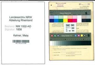 Entnazifizierung Meta Kehrer, geb. 25.07.1906 (Stenotyp.)