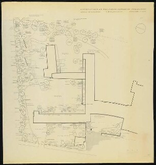 Grünflächen am Max-Planck-Gymnasium, Düsseldorf: Pflanzplan Gehölz 1:200